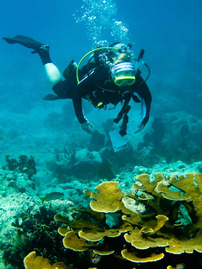 Top 3 Reasons to Get Scuba Certified | Serving Pompano Beach