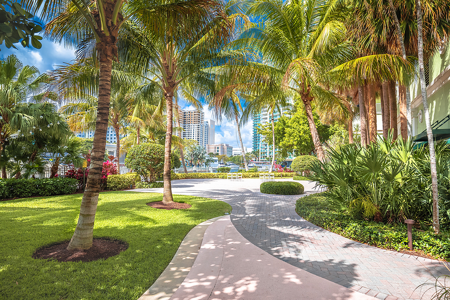 Plan Your Fall Visit to Fort Lauderdale